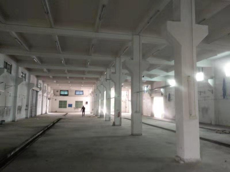 厚街原房東廠房2000平方分租