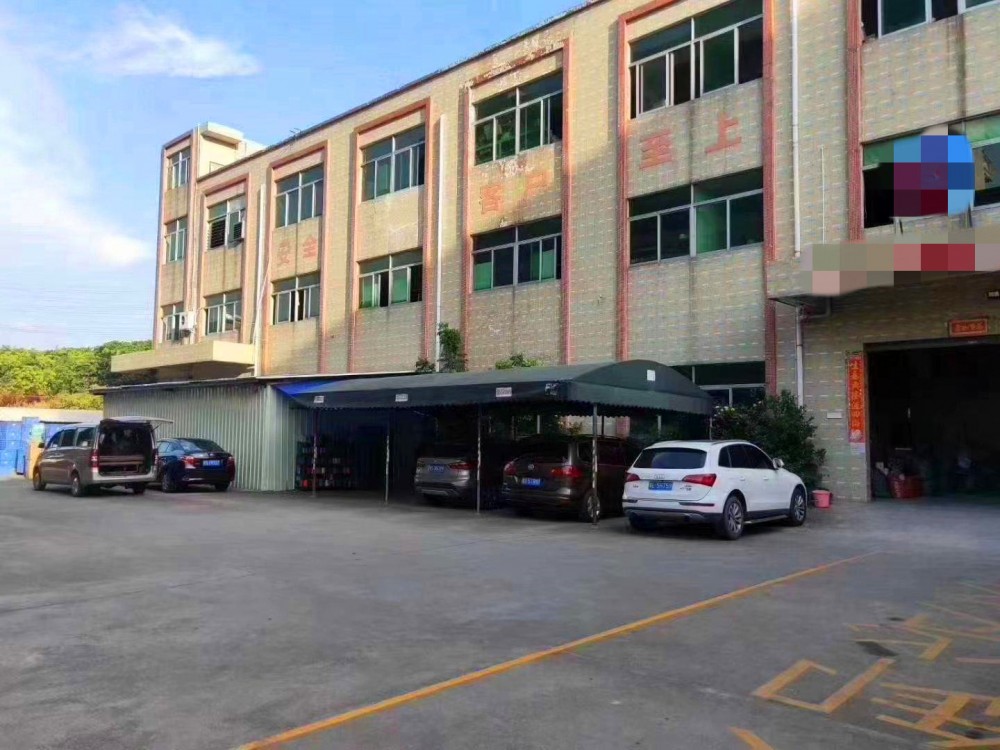 望牛墩新出標(biāo)準(zhǔn)廠房廠房出租，形象非常漂亮，工業(yè)用地，交通便利